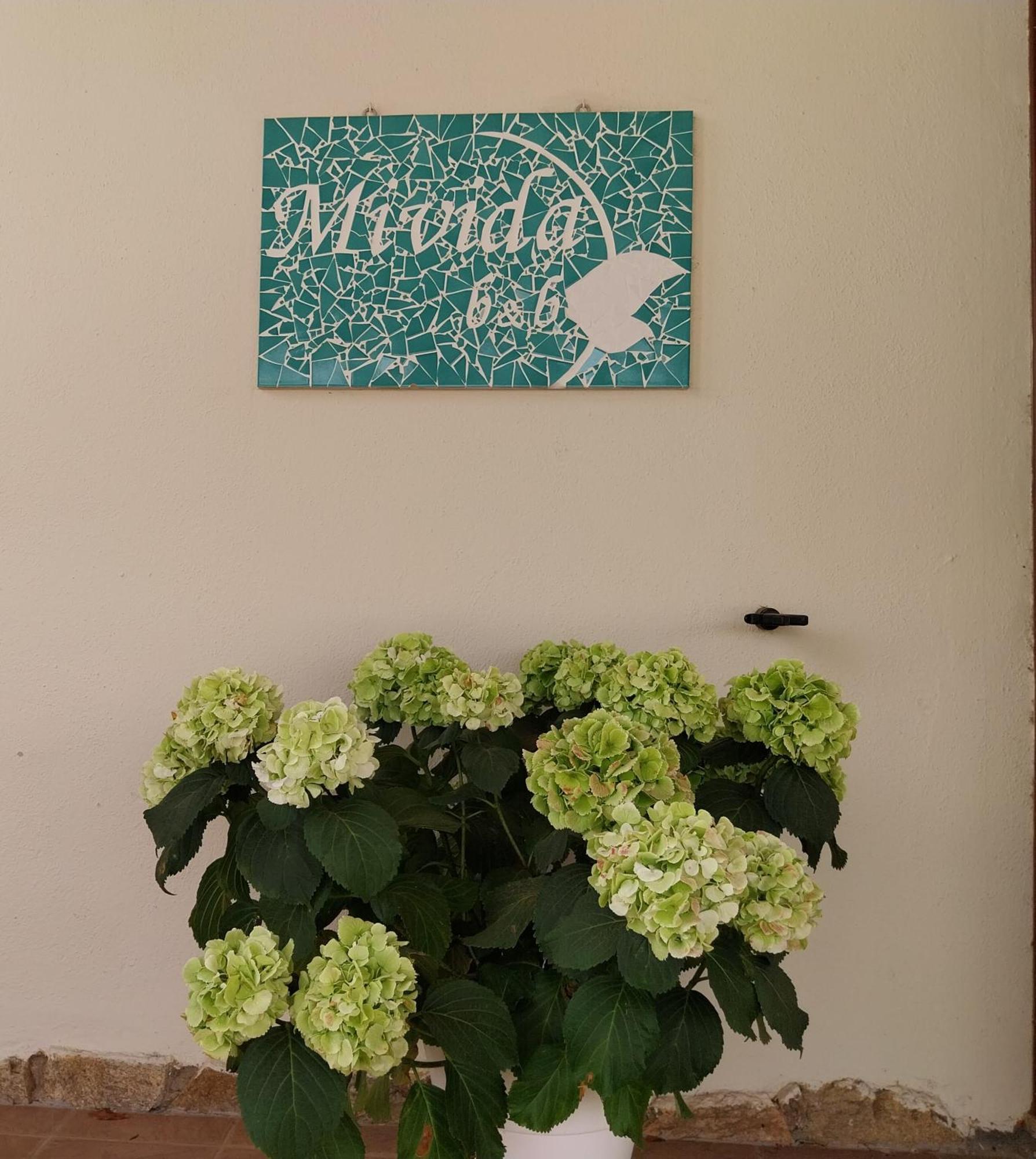 Bed and Breakfast Mivida "Le Stanze Di Ada" à San Teodoro  Extérieur photo